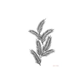 Cadence BN168 25x36 cm BN Serisi Stencil