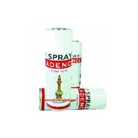 Cadence Cadence Parlak 400 ml Sprey Vernik