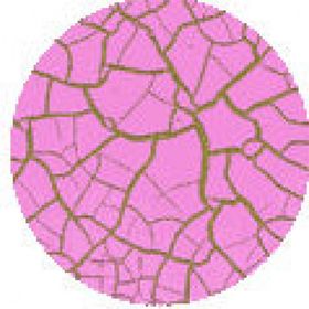 Cadence Crocodile 1012 Pembe Renkli Çatlatma
