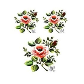 Cadence G04 17x25 Gülsün Ülkü