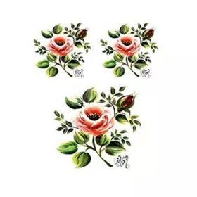 Cadence G04 17x25 Gülsün Ülkü