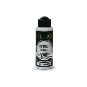 Cadence H075 120 ml Sünger Taşı Multisurfaces