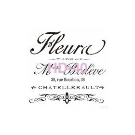 Cadence Home Decor HD-40 Stencil 45x45 cm Boyama Şablonu