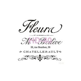 Cadence Home Decor HD-40 Stencil 45x45 cm Boyama Şablonu