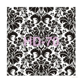Cadence Home Decor HD-70 Stencil 45x45 cm Boyama Şablonu