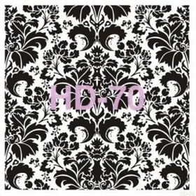 Cadence Home Decor HD-70 Stencil 45x45 cm Boyama Şablonu