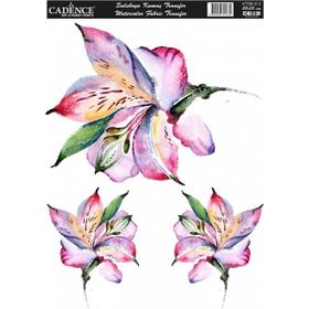 Cadence KTSB 013