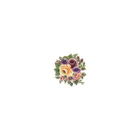 Cadence XL02 35x50 Gülsün Ülkü