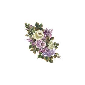 Cadence XL04 35x50 Gülsün Ülkü