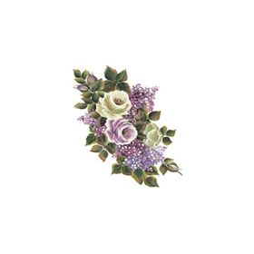 Cadence XL04 35x50 Gülsün Ülkü