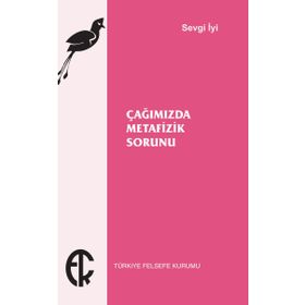 Çağımızda Metafizik Sorunu - Sevgi İyi
