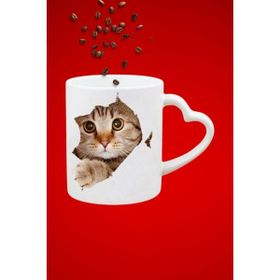 Caisya Sevimli Kedi Tekir Baskılı Hediye Kalp Baskılı Kupa