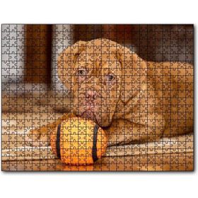 Caka Tablo Kahverengi Boxer Yavrusu ve Turuncu Topu 120 Parça Puzzle