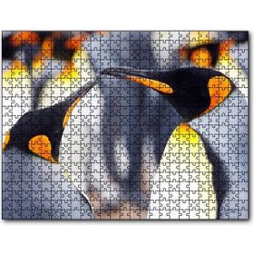 Caka Tablo Kral Penguenler 255 Parça Puzzle