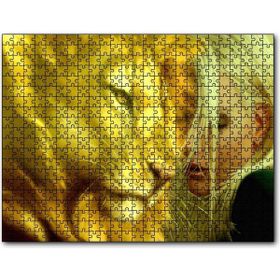 Caka Tablo Sarı Saçlı Kız ve Aslan 255 Parça Puzzle