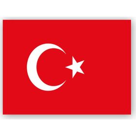 Caka Tablo Türk Bayrağı 35x50 cm Ahşap Tablo
