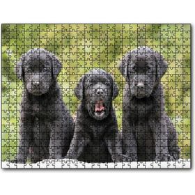 Caka Tablo Üç Sevimli Siyah Yavru Köpek 255 Parça Puzzle