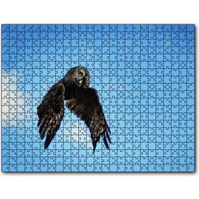 Caka Tablo Uçan Baykuş 255 Parça Puzzle