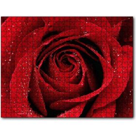 Caka Tablo Yağmur Damlası ve Güzel Gül Fotoğrafı 255 Parça Puzzle