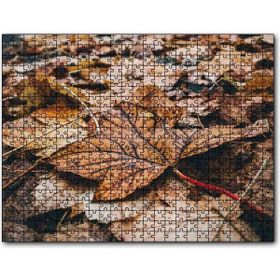 Caka Tablo Yerde Sararmış Yapraklar 255 Parça Puzzle