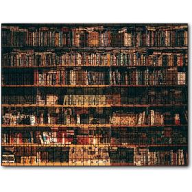 Caka Tablo Zengin Kitaplık 255 Parça Puzzle