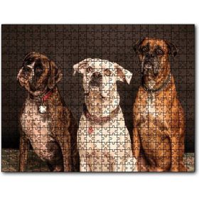 Cakapuzzle 3 Sevimli Boxer 1000 Parça Puzzle