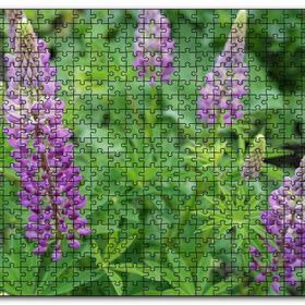 Cakapuzzle Acı Bakla Çiçeği ve Yaprakları Mdf 120 Parça Puzzle