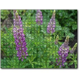Cakapuzzle Acı Bakla Çiçeği ve Yaprakları Mdf 120 Parça Puzzle