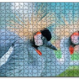 Cakapuzzle Açık Mavi Renkli Tepeli Turna Görseli Mdf 1000 Parça Puzzle