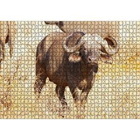 Cakapuzzle Afrika Bozkırında Bufalo ve Kuru Otlar 120 Parça Ahşap Puzzle