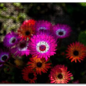 Cakapuzzle Afrika Papatyaları Ahşap 500 Parça Puzzle