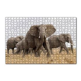 Cakapuzzle Afrika Safarisinde Filler 120 Parça Ahşap Puzzle