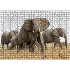 Cakapuzzle Afrika Safarisinde Filler Mdf 1000 Parça Puzzle