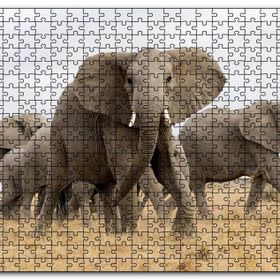 Cakapuzzle Afrika Safarisinde Filler Mdf 120 Parça Puzzle