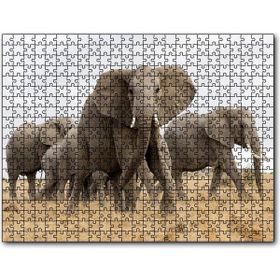 Cakapuzzle Afrika Safarisinde Filler Mdf 255 Parça Puzzle