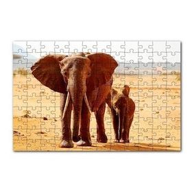 Cakapuzzle Afrika Savanada Anne Fil ve Yavrusu 120 Parça Ahşap Puzzle