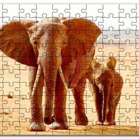 Cakapuzzle Afrika Savanada Anne Fil ve Yavrusu Mdf 1000 Parça Puzzle