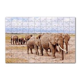 Cakapuzzle Afrika Savanada Filler Bir Arada 120 Parça Ahşap Puzzle