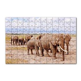 Cakapuzzle Afrika Savanada Filler Bir Arada 120 Parça Ahşap Puzzle
