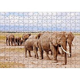 Cakapuzzle Afrika Savanada Filler Bir Arada 120 Parça Ahşap Puzzle