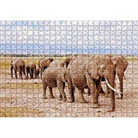 Cakapuzzle Afrika Savanada Filler Bir Arada 120 Parça Ahşap Puzzle
