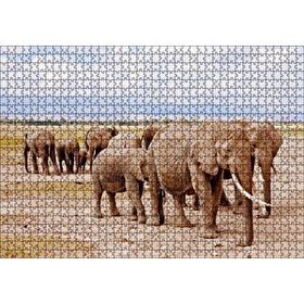 Cakapuzzle Afrika Savanada Filler Bir Arada Mdf 1000 Parça Puzzle