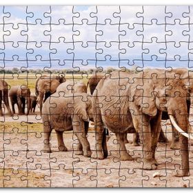 Cakapuzzle Afrika Savanada Filler Bir Arada Mdf 500 Parça Puzzle