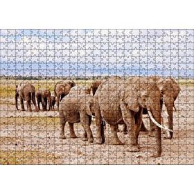 Cakapuzzle Afrika Savanada Filler Bir Arada Mdf 500 Parça Puzzle