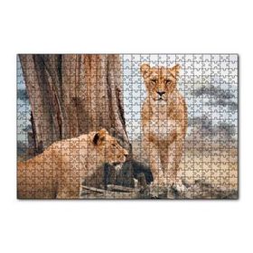 Cakapuzzle Afrika Savanında Dişi Aslan Görseli 120 Parça Ahşap Puzzle
