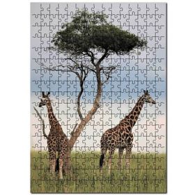 Cakapuzzle Afrikada Çift Zürafa Görseli Mdf 1000 Parça Puzzle
