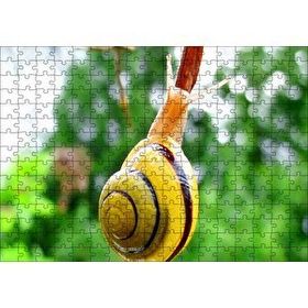 Cakapuzzle Ağaç Dalı Üzerindeki Salyangoz Yakın Plan 120 Parça Ahşap Puzzle