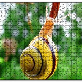 Cakapuzzle Ağaç Dalı Üzerindeki Salyangoz Yakın Plan Mdf 255 Parça Puzzle