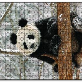 Cakapuzzle Ağaç Dalında Panda Ahşap 255 Parça Puzzle