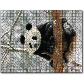 Cakapuzzle Ağaç Dalında Panda Ahşap 255 Parça Puzzle